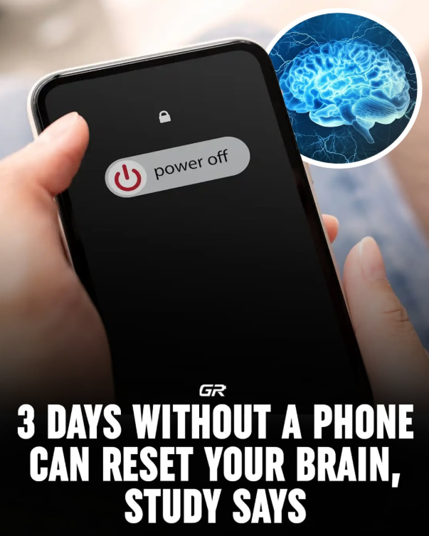 3 Days Without a Phone Can Reset Your Brain, study says